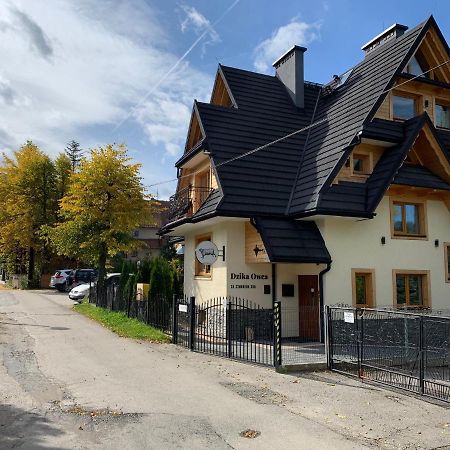 Dzika Owca Lägenhet Zakopane Exteriör bild