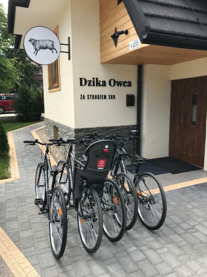 Dzika Owca Lägenhet Zakopane Exteriör bild
