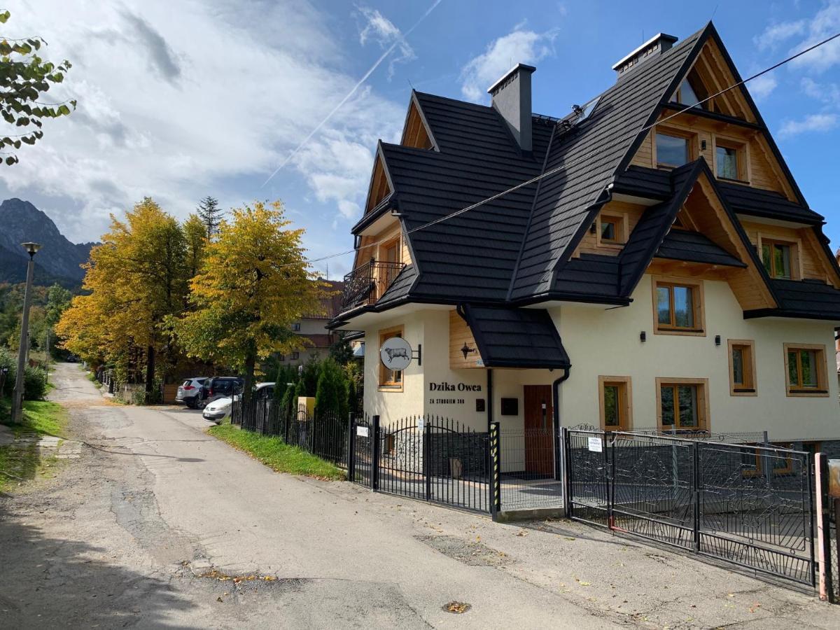 Dzika Owca Lägenhet Zakopane Exteriör bild